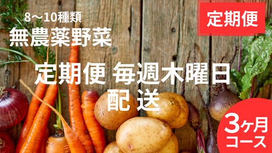 定期購入 無農薬野菜3ヶ月コース
